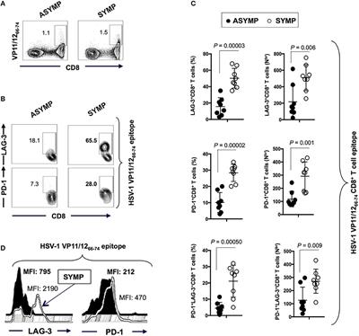 Blockade of LAG-3 Immune Checkpoint Combined With Therapeutic Vaccination Restore the Function of Tissue-Resident Anti-viral CD8+ T Cells and Protect Against Recurrent Ocular Herpes Simplex Infection and Disease